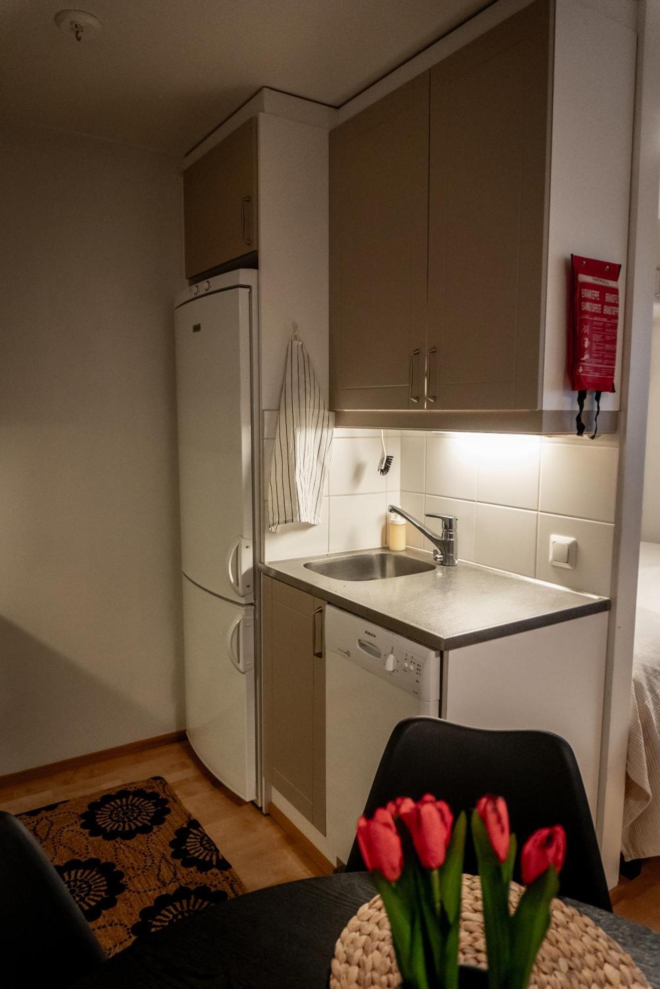 Appartement Arctic Christmas With Sauna Rovaniemi