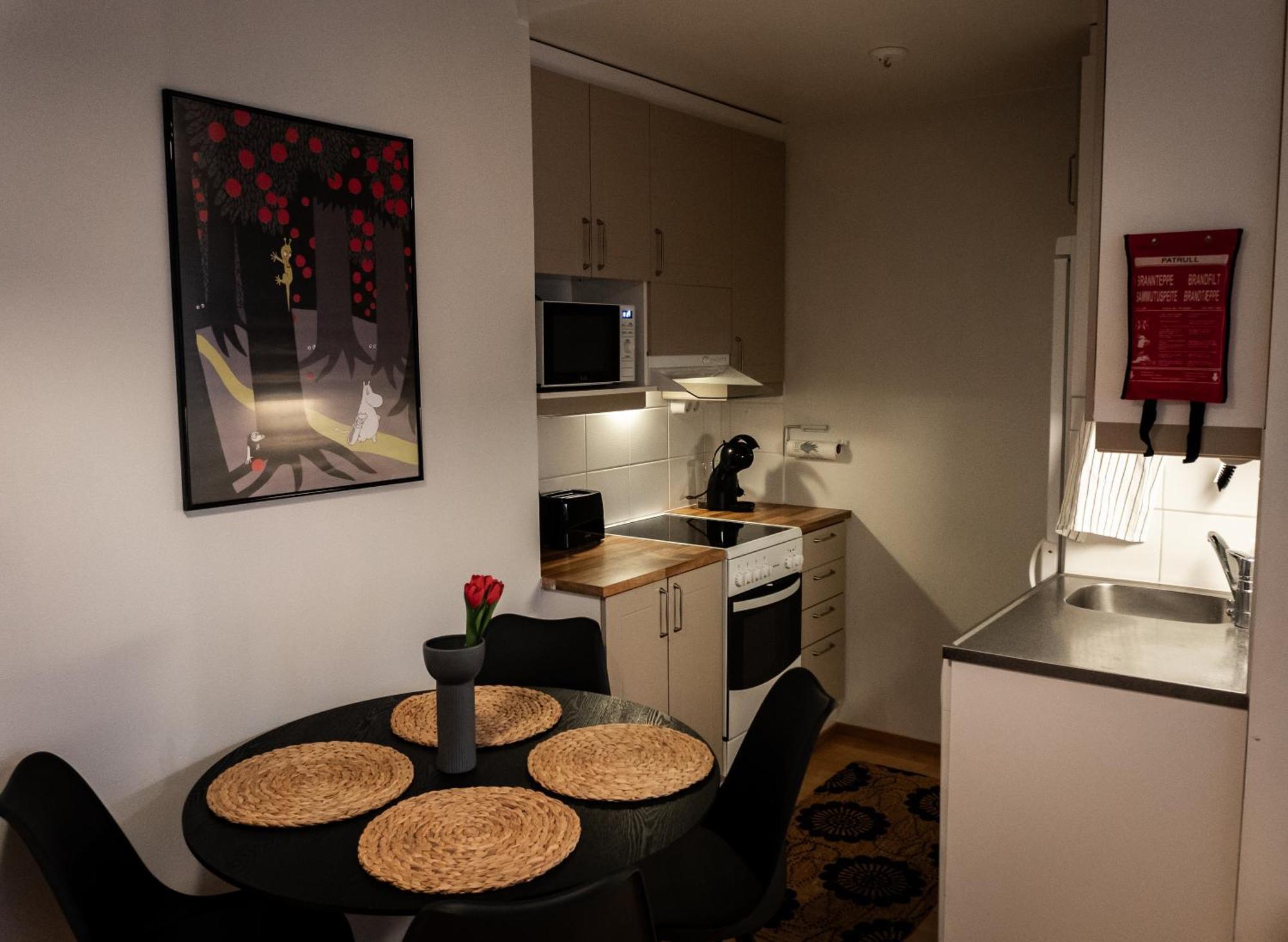 Arctic Christmas With Sauna Appartement
